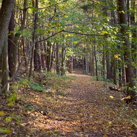 Behringhof Lejlighed Wölsickendorf-Wollenberg
